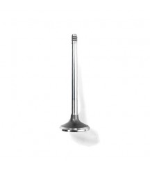 Exhaust valve, exhaust 20755883